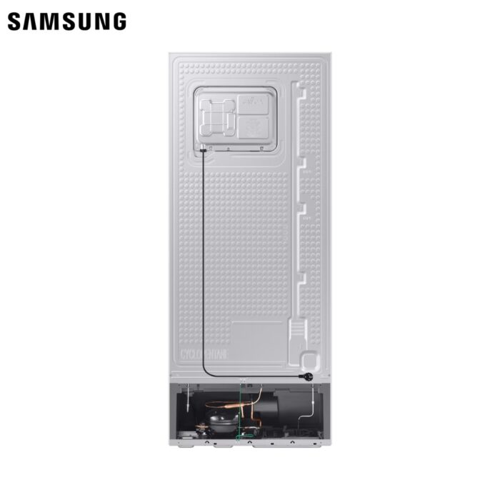 Samsung Top Mount Freezer Refrigerators 391L  RT6300C | RT38CG6000WWIQ - Image 4