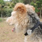 TrackR Bravo Bluetooth Lost and Found Tracker Device for Smartphone (Pack of 2) - Image 11