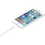 Apple Lightning to USB Cable (1 m) - Image 2