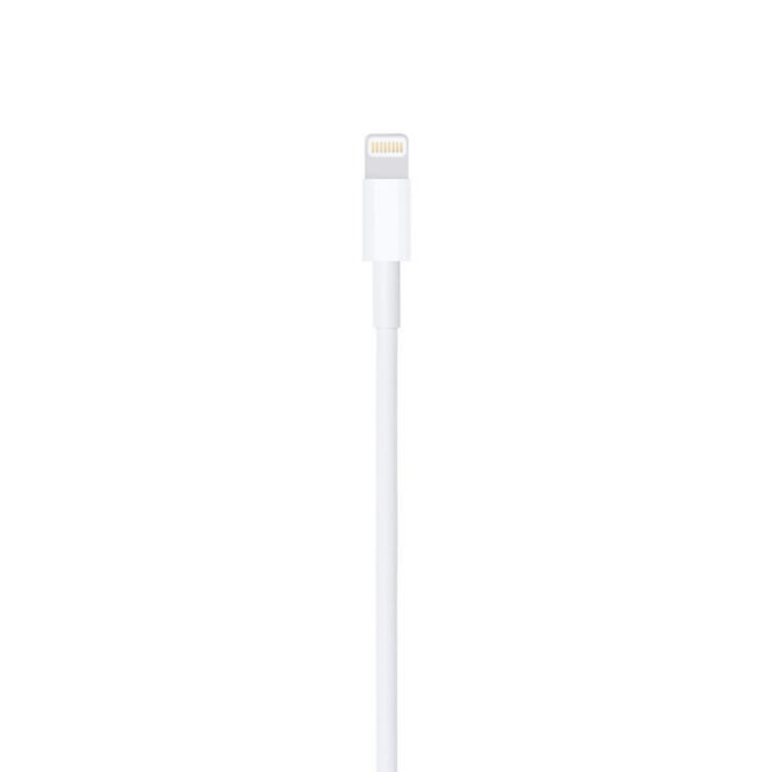 Apple Lightning to USB Cable (1 m) No Package - Image 4