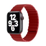 Coteeci Magnetic Watch Band