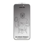 Green Lion 9H Steve Privacy Glass Protector for iPhone 16 Pro Max