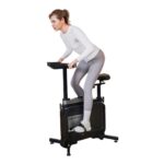Kingsmith Workstation Bike W1B