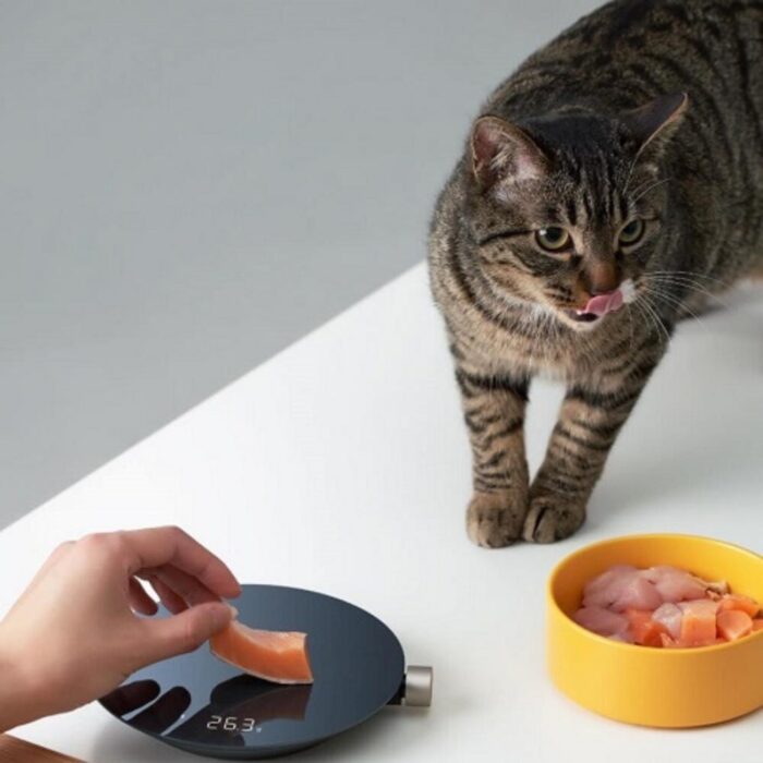 Mi Hoto Smart Kitchen Scale - Image 8