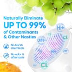Xiaoda Portable Fruit and Vegetable Cleaning Machine - Image 4