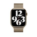 Apple 45mm Milanese Loop Stainless Steel - Image 4