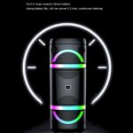 Blueseed Dual 8-inch Led Light Speaker BS-115 - Image 3