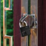 Green Lion Fingerprint Padlock - Image 2