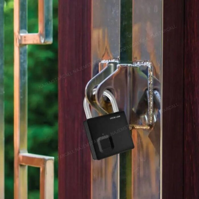 Green Lion Fingerprint Padlock - Image 2