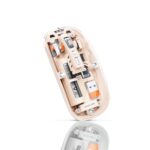 Green Lion Transparent Mouse 2 1600DPI - Image 3