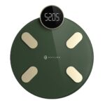 Haylou Smart Body Fat Scale
