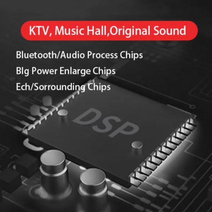 Intelligent Wireless Karaoke Microphone L-698 - Image 4