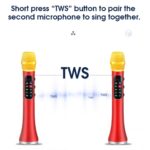 Intelligent Wireless Microphone L-1098 - Karaoke Microphone - Image 5