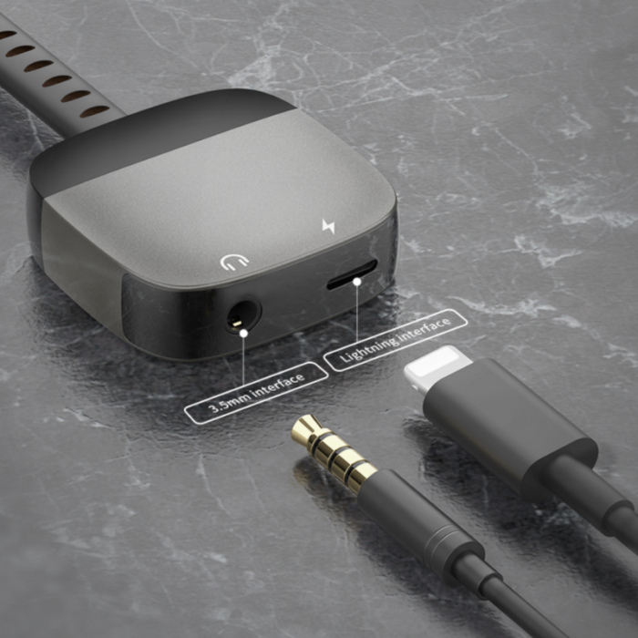 Recci Lightning Converter Cable - Image 2