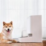 Xiaomi Smart Pet Food Feeder - Image 3
