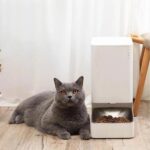 Xiaomi Smart Pet Food Feeder - Image 4