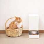 Xiaomi Smart Pet Food Feeder - Image 5