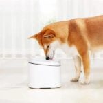 Xiaomi Smart Pet Fountain - Image 3