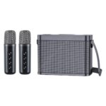 Xundd Wireless Karaoke Speaker Dual Microphone YS-219