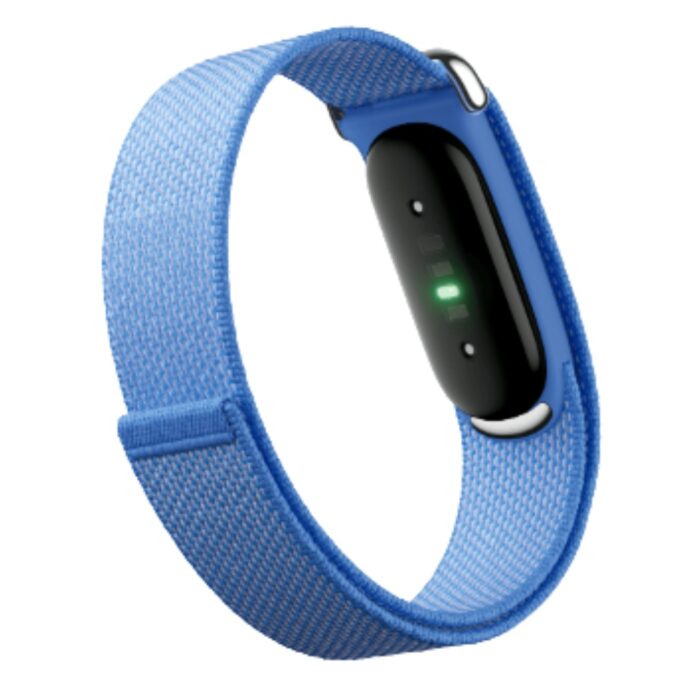 Google Fitbit Air - Image 7