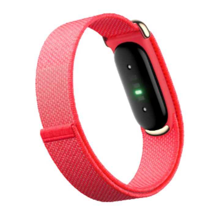 Google Fitbit Air - Image 2