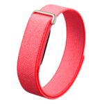 Google Fitbit Air